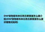 DNF寵物哥布林任務在那里接怎么做介紹(DNF寵物哥布林任務在那里接怎么做詳細情況如何)