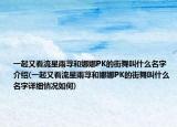 一起又看流星雨蕁和娜娜PK的街舞叫什么名字介紹(一起又看流星雨蕁和娜娜PK的街舞叫什么名字詳細(xì)情況如何)