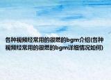 各種視頻經(jīng)常用的很燃的bgm介紹(各種視頻經(jīng)常用的很燃的bgm詳細情況如何)