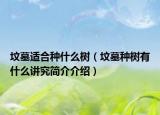 墳?zāi)惯m合種什么樹（墳?zāi)狗N樹有什么講究簡介介紹）