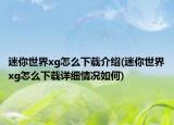 迷你世界xg怎么下載介紹(迷你世界xg怎么下載詳細(xì)情況如何)