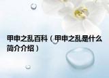 甲申之亂百科（甲申之亂是什么簡介介紹）
