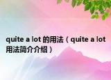 quite a lot 的用法（quite a lot用法簡介介紹）
