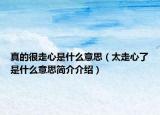真的很走心是什么意思（太走心了是什么意思簡(jiǎn)介介紹）