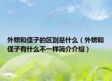 外甥和侄子的區(qū)別是什么（外甥和侄子有什么不一樣簡介介紹）