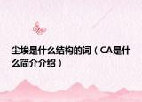 塵埃是什么結(jié)構(gòu)的詞（CA是什么簡介介紹）