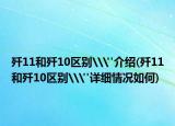 殲11和殲10區(qū)別\
