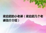 梁?jiǎn)⒊男±掀牛簡(jiǎn)⒊瑤讉€(gè)老婆簡(jiǎn)介介紹）