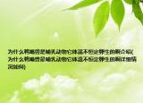 為什么鴨嘴獸是哺乳動(dòng)物它體溫不恒定卵生的啊介紹(為什么鴨嘴獸是哺乳動(dòng)物它體溫不恒定卵生的啊詳細(xì)情況如何)