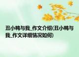 丑小鴨與我_作文介紹(丑小鴨與我_作文詳細(xì)情況如何)
