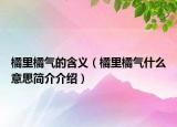 橘里橘氣的含義（橘里橘氣什么意思簡介介紹）