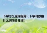 卜字怎么組詞組詞（卜字可以組什么詞簡介介紹）