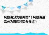 風(fēng)暴潮分為哪兩類?（風(fēng)暴潮通常分為哪兩種簡(jiǎn)介介紹）