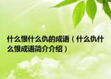 什么恨什么仇的成語（什么仇什么恨成語簡(jiǎn)介介紹）