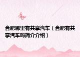 合肥哪里有共享汽車(chē)（合肥有共享汽車(chē)嗎簡(jiǎn)介介紹）