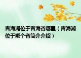 青海湖位于青海省哪里（青海湖位于哪個(gè)省簡(jiǎn)介介紹）