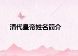 清代皇帝姓名簡介
