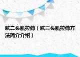 肱二頭肌拉伸（肱三頭肌拉伸方法簡(jiǎn)介介紹）