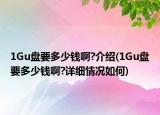 1Gu盤要多少錢啊?介紹(1Gu盤要多少錢啊?詳細(xì)情況如何)