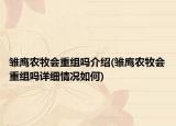 雛鷹農(nóng)牧?xí)亟M嗎介紹(雛鷹農(nóng)牧?xí)亟M嗎詳細(xì)情況如何)