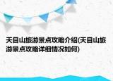 天目山旅游景點(diǎn)攻略介紹(天目山旅游景點(diǎn)攻略詳細(xì)情況如何)