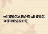 wii(硬盤怎么玩介紹 wii 硬盤怎么玩詳細(xì)情況如何)