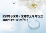 如何吃小龍蝦（龍蝦怎么吃 怎么正確吃小龍蝦簡介介紹）