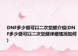 DNF多少級(jí)可以二次覺醒介紹(DNF多少級(jí)可以二次覺醒詳細(xì)情況如何)