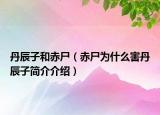 丹辰子和赤尸（赤尸為什么害丹辰子簡(jiǎn)介介紹）