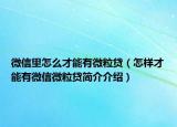 微信里怎么才能有微粒貸（怎樣才能有微信微粒貸簡介介紹）