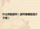 什么樣的派對（派對有哪些簡介介紹）