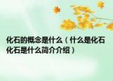 化石的概念是什么（什么是化石 化石是什么簡(jiǎn)介介紹）