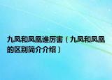 九鳳和鳳凰誰(shuí)厲害（九鳳和鳳凰的區(qū)別簡(jiǎn)介介紹）