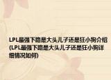 LPL最強下路是大頭兒子還是狂小狗介紹(LPL最強下路是大頭兒子還是狂小狗詳細情況如何)