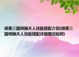 胡萊三國祝融夫人技能搭配介紹(胡萊三國祝融夫人技能搭配詳細情況如何)