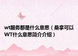 wt服務(wù)都是什么意思（桑拿可以WT什么意思簡(jiǎn)介介紹）
