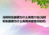 馮軻和張靚穎為什么離婚介紹(馮軻和張靚穎為什么離婚詳細(xì)情況如何)