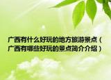 廣西有什么好玩的地方旅游景點（廣西有哪些好玩的景點簡介介紹）
