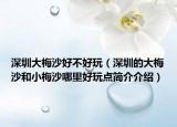 深圳大梅沙好不好玩（深圳的大梅沙和小梅沙哪里好玩點簡介介紹）