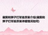 藏獒和獅子打架誰厲害介紹(藏獒和獅子打架誰厲害詳細(xì)情況如何)