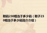 鞋碼230相當(dāng)于多少碼（鞋子230相當(dāng)于多少碼簡(jiǎn)介介紹）