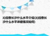 沁園春長沙什么水平介紹(沁園春長沙什么水平詳細(xì)情況如何)