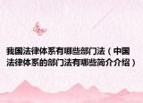 我國(guó)法律體系有哪些部門法（中國(guó)法律體系的部門法有哪些簡(jiǎn)介介紹）