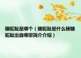 駱駝趾是哪個(gè)（駱駝趾是什么梗駱駝趾出自哪里簡(jiǎn)介介紹）