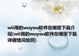 wii用的wuyou軟件在哪里下載介紹(wii用的wuyou軟件在哪里下載詳細(xì)情況如何)