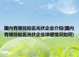 國(guó)內(nèi)有哪些知名光伏企業(yè)介紹(國(guó)內(nèi)有哪些知名光伏企業(yè)詳細(xì)情況如何)