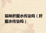 貓咪肝腹水傳染嗎（肝腹水傳染嗎）