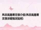 鳳非離是君無(wú)恨介紹(鳳非離是君無(wú)恨詳細(xì)情況如何)