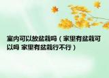 室內(nèi)可以放盆栽嗎（家里有盆栽可以嗎 家里有盆栽行不行）