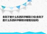 舍利子是什么東西科學解釋介紹(舍利子是什么東西科學解釋詳細情況如何)